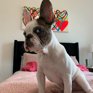 Meet your Posher, Lexie